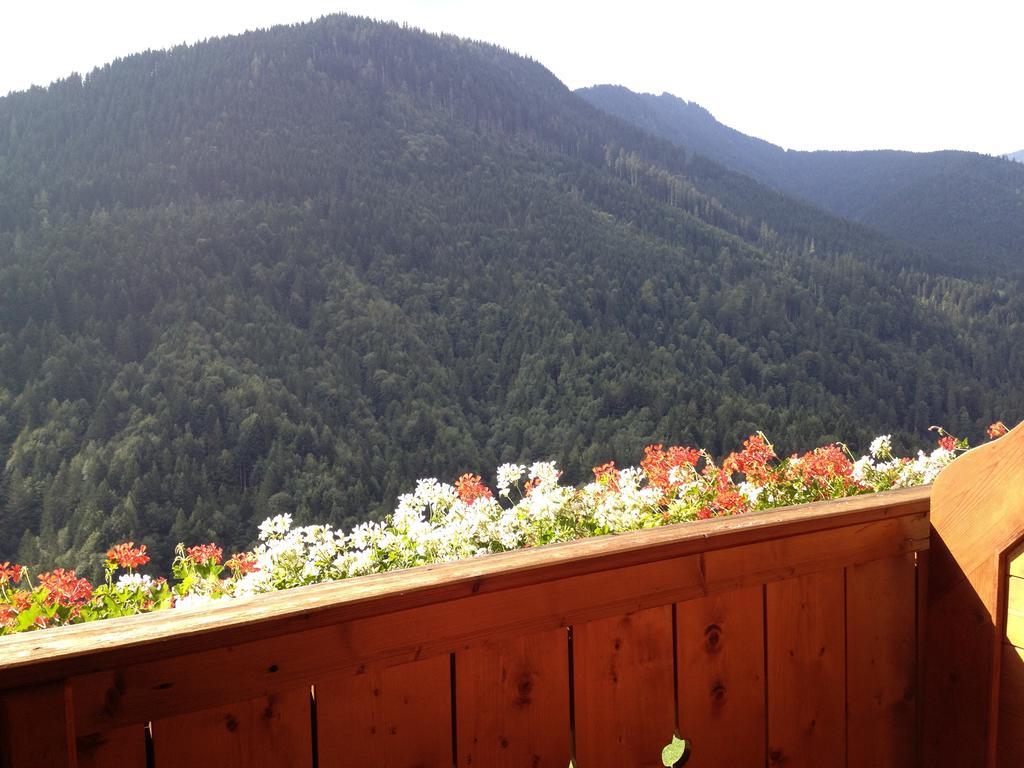Berggasthof Hintergfoell Unken Ngoại thất bức ảnh